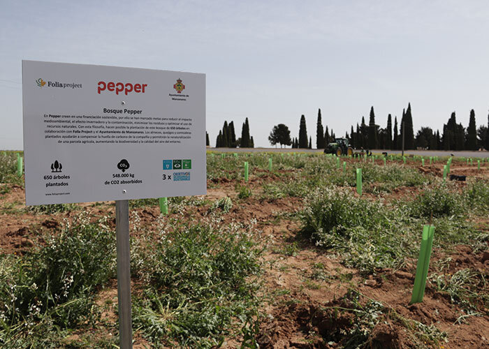 Segunda-plantación-de-Folia-Project-(cementerio)-(3)