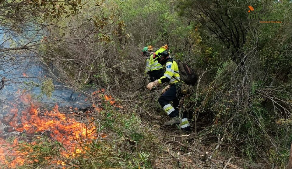 EuropaPress_4600150_bomberos_extinguiendo_incendio