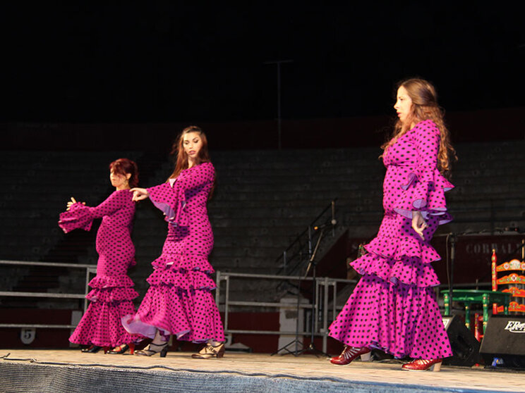 Como ya es tradicional, la gala contó con las actuaciones de socios y socias de la peña y un artista invitado.