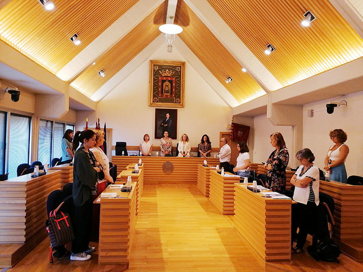 Sesión ordinaria del Consejo Local de la Mujer de Ciudad Real.