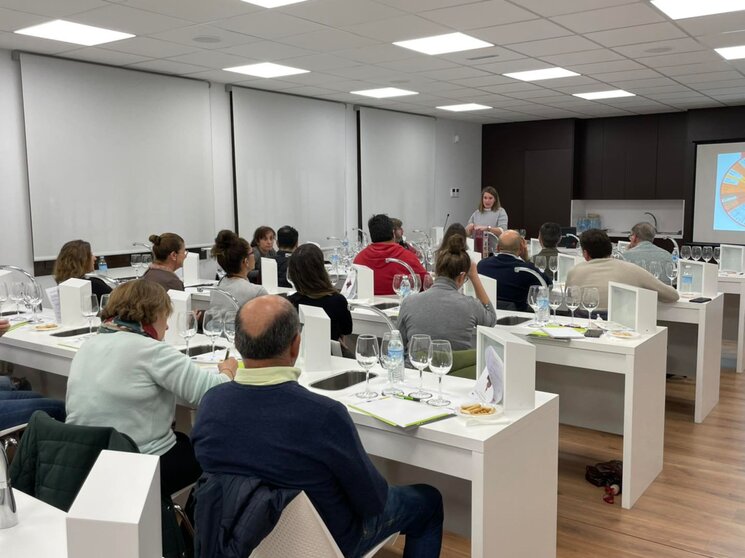 Curso de iniciación a la cata de vinos en Campo de Criptana