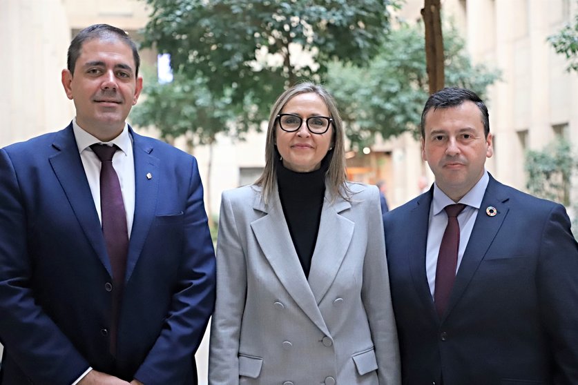 José Manuel Bolaños, Montse Muro y Miguel Ángel Nacarino, ponentes socialistas en la Ley de Cooperación