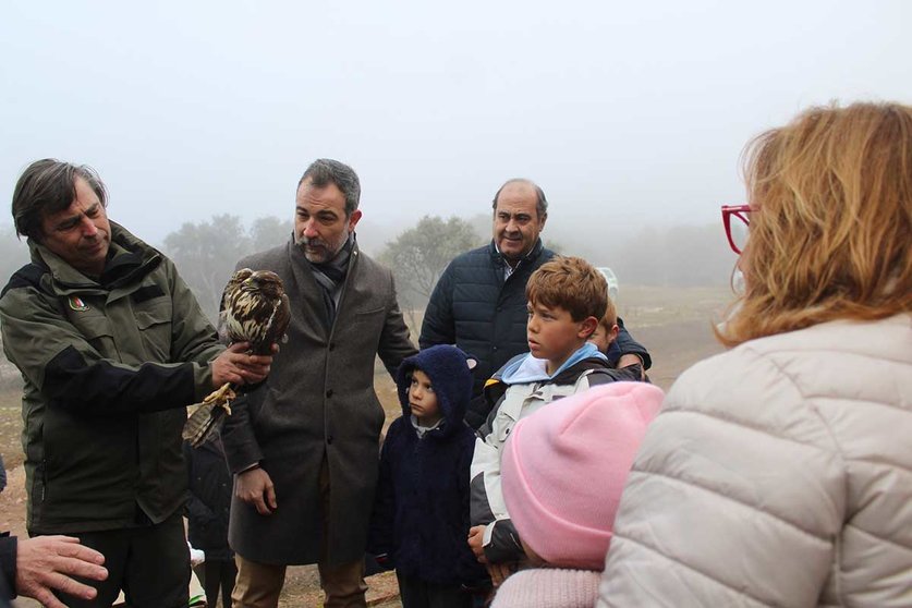 Suelta de busardo ratonero en el entorno de la ermita de San Isidro de Ballesteros de Calatrava.