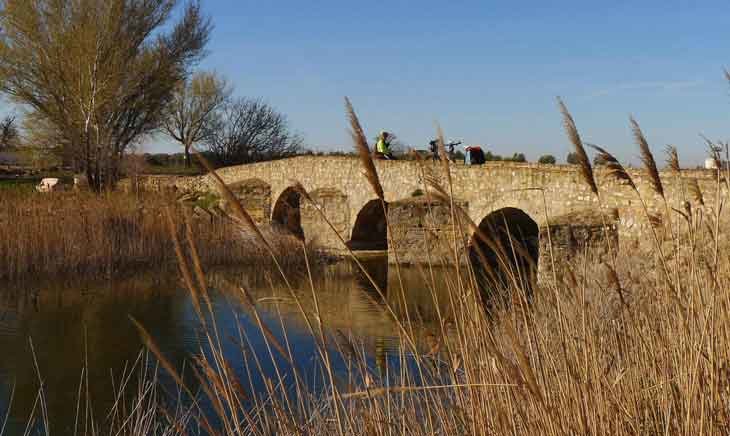 Puente Romano  en Socuéllamos. Fuente: rutadelvinodelamancha.com