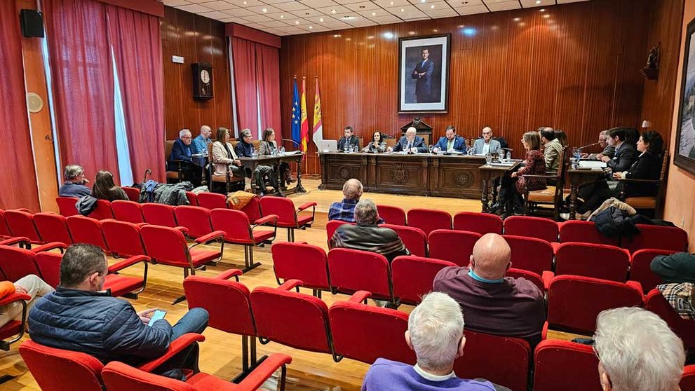 pleno-manzanares