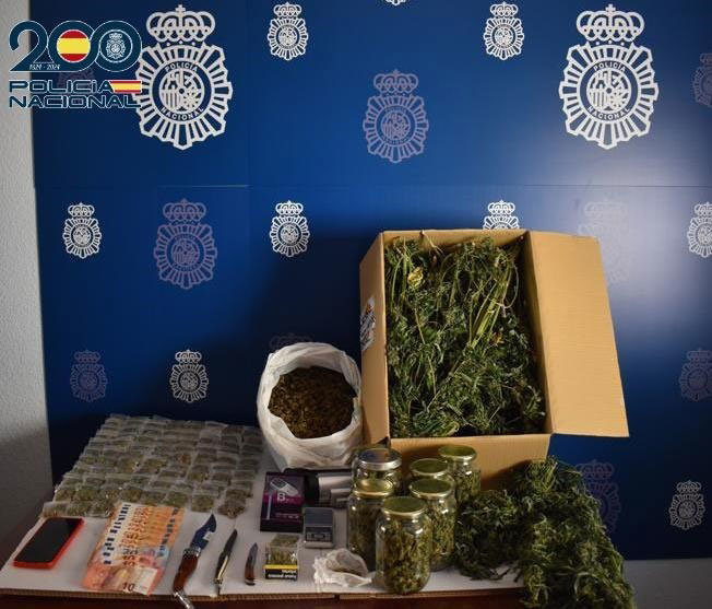 EuropaPress_6009441_policia_nacional_desmantela_centro_produccion_distribucion_marihuana