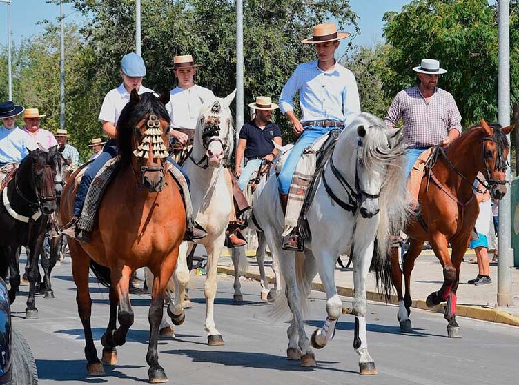 amigos-del-caballo