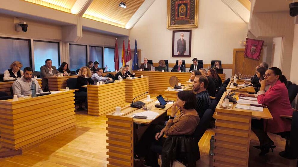 pleno-ciudad-real