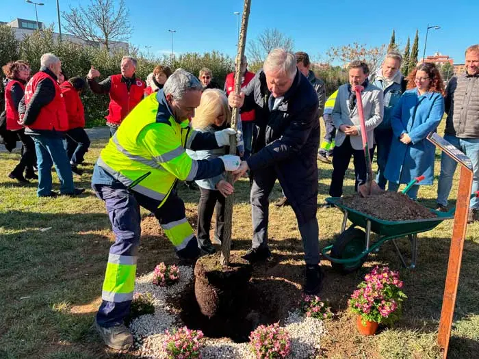 arbol-humanidad-2